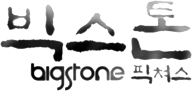 Big Stone Pictures Logo