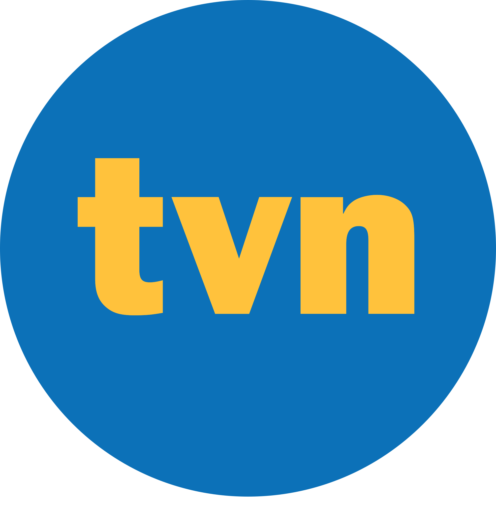 TVN Group Logo