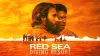 The Red Sea Diving Resort