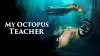 My Octopus Teacher