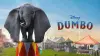 Dumbo