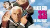 Naked Gun 33⅓: The Final Insult