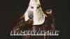 BlacKkKlansman