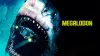 Megalodon