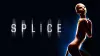 Splice