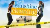 Sunshine Cleaning