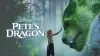 Pete's Dragon