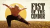 Fist of the Condor