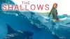 The Shallows