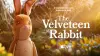 The Velveteen Rabbit