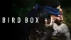 Bird Box