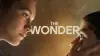 The Wonder