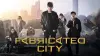 Fabricated City