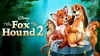 The Fox and the Hound 2