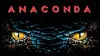 Anaconda