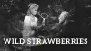 Wild Strawberries