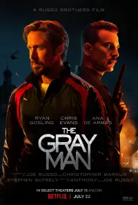 Poster to the movie "The Gray Man" #45824