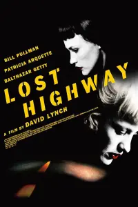 Poster to the movie "Lost Highway" #710194