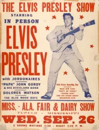 Poster to the movie "Elvis" #518070