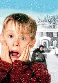 Poster to the movie "Home Alone" #216184