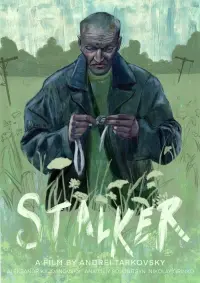 Poster to the movie "Stalker" #599112