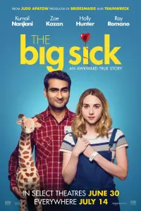 Poster to the movie "The Big Sick" #113985