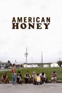 Poster to the movie "American Honey" #261739