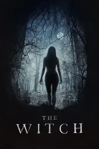 Poster to the movie "The Witch" #66195