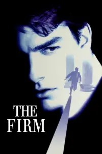 Poster to the movie "The Firm" #91315