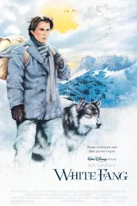 Poster to the movie "White Fang" #122539