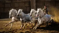 Backdrop to the movie "Ben-Hur" #319295