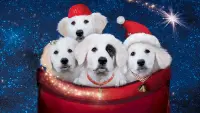 Backdrop to the movie "Santa Paws 2: The Santa Pups" #355534