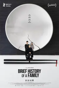 Poster to the movie "Brief History of a Family" #198499