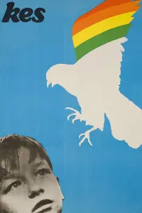 Poster to the movie "Kes" #211592