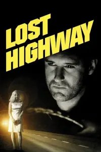 Poster to the movie "Lost Highway" #120883