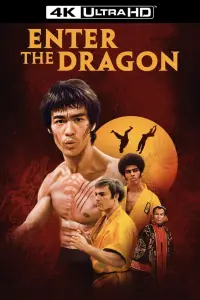 Poster to the movie "Enter the Dragon" #66000