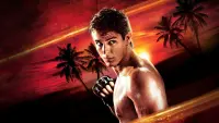 Backdrop to the movie "Never Back Down" #660995