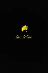 Dandelion