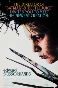 Poster to the movie "Edward Scissorhands" #31874