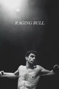 Poster to the movie "Raging Bull" #86260