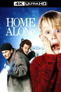 Poster to the movie "Home Alone" #216172