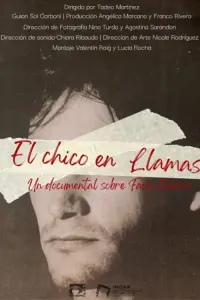 Poster to the movie "El chico en llamas" #365686