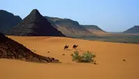 Backdrop to the movie "Lawrence of Arabia" #582425