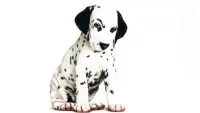 Backdrop to the movie "102 Dalmatians" #341656