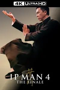 Poster to the movie "Ip Man 4: The Finale" #228227