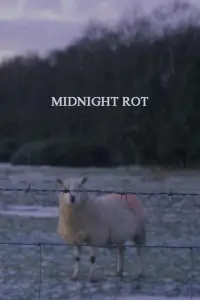 Poster to the movie "Midnight Rot" #668172