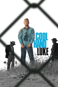 Poster to the movie "Cool Hand Luke" #102965