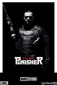 Poster to the movie "Punisher: War Zone" #124192