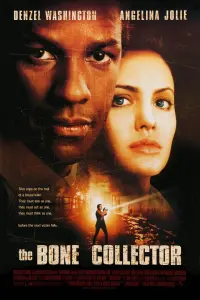 Poster to the movie "The Bone Collector" #115921