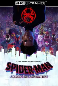 Poster to the movie "Spider-Man: Across the Spider-Verse" #3197